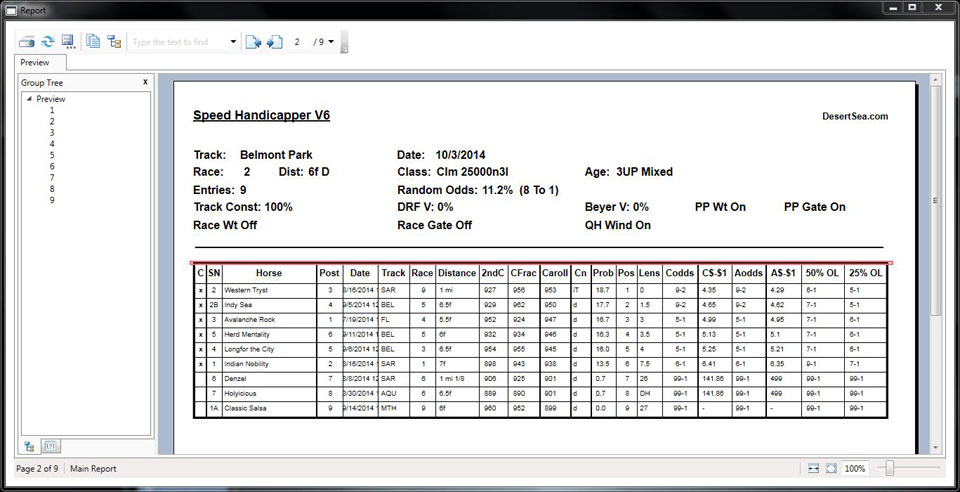 Speed V6 Report Printer Window